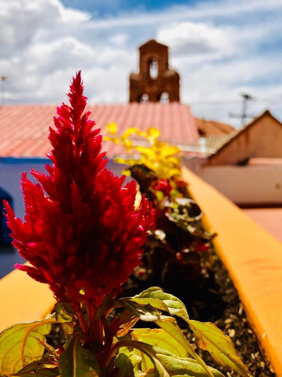 Santa Teresa